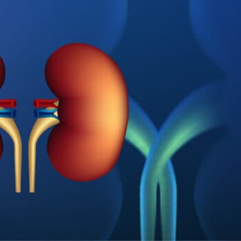kidney, dialysis, kidney failure, nephrology