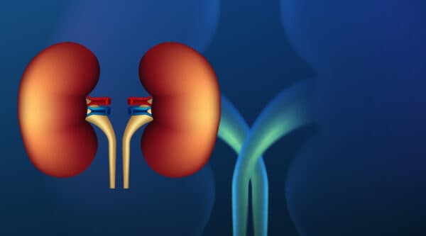kidney, dialysis, kidney failure, nephrology